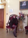 Баргузинский соболь очень красивый и шикарный