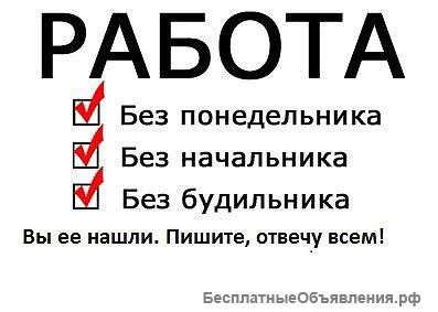 Оператор интернет- магазина