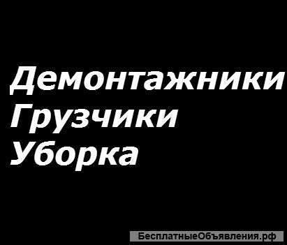 Строго не пьющие работники