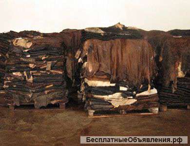 Куплю шкуры КРС в любом регионе
