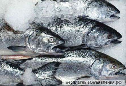 Прямые поставки Рыбы от производителей оптом