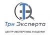 Услуги проведения независимых экспертиз и оценочных работ