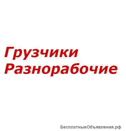 Добросовестные работники-разнорабочие s