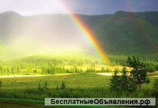 Гадание, помощь