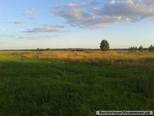 Участок: д.Кнештицы. 32,3 сотки.