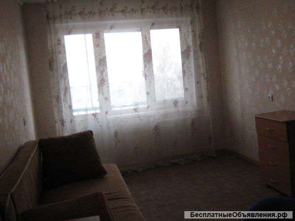 Сдам в аренду