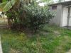 Участок в Олимпийском парке