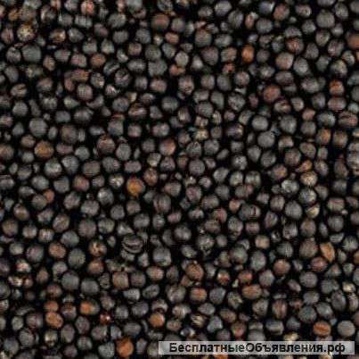 Сельхозпродукция произв.р.Казахстан.