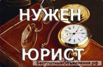 Профессиональная юридическая помощь