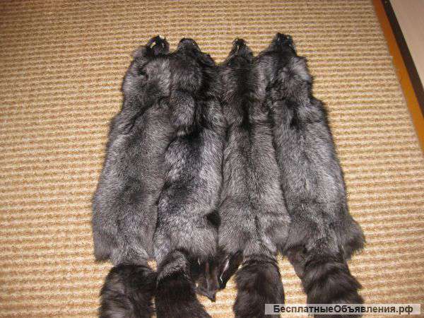Пушнины и меха по низким ценам