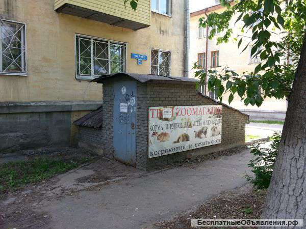 Сдам в аренду