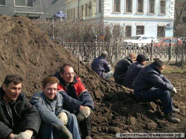 ТРЕЗЫВЫЕ подсобные рабочие, грузчики, разнорабочие, землекопы. Граждане РФ