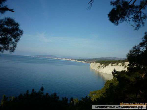 Ищу партнера