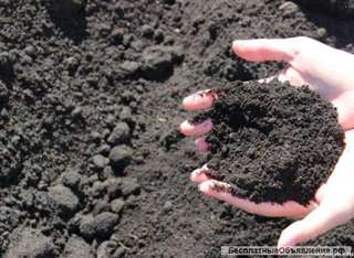 Сапропель в мешках (50 л)