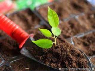 Торф в мешках