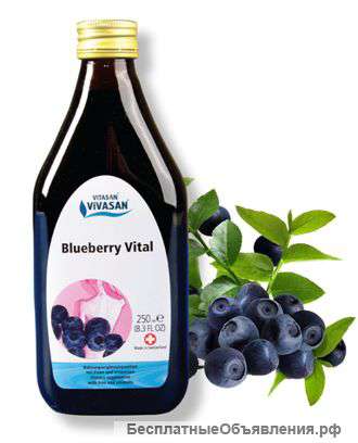 Черника витал (Blueberry Vital)