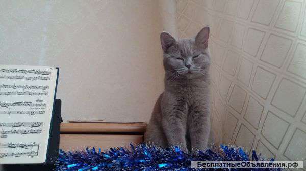 Набор нот и преобразование их в другие форматы