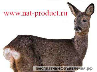 Мясо косули купить в Москве