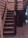 Лестницы деревянные