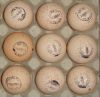 Яйцо инкубационное индейки Хайбрид, Бронза, Виктория