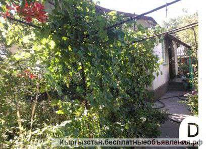 Меняю два дома 50 и 25м2,на участке0,05Га