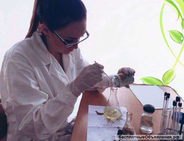 Репетитор по химии