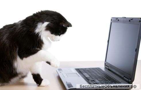 Операторы редакторы текстов