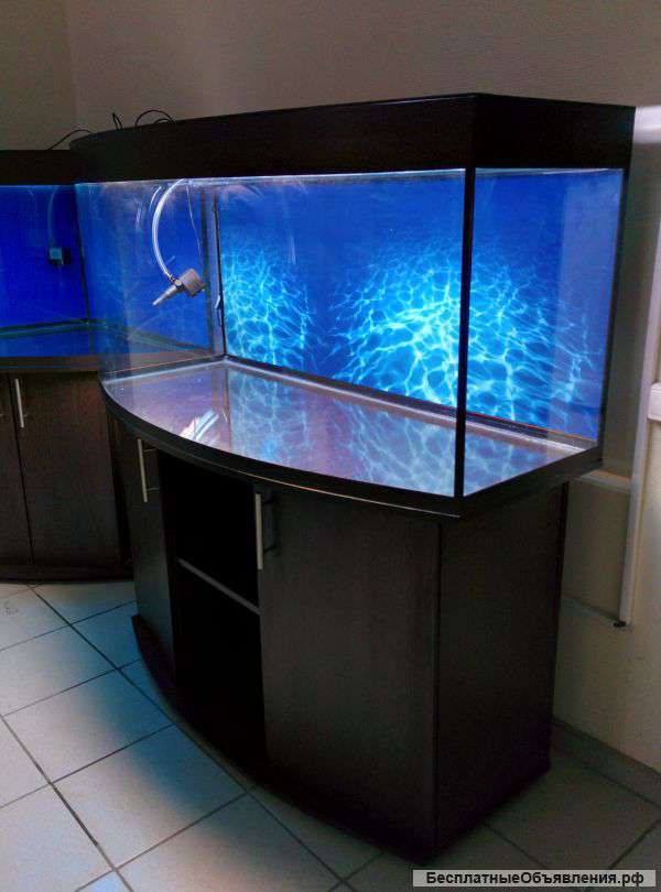 Аквариумы под заказ