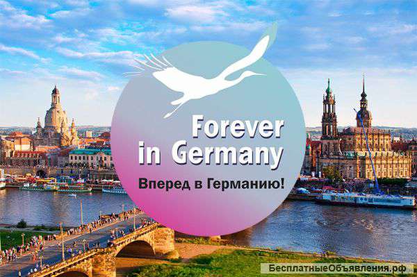 Работа в Германии