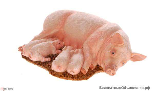 Фигурка свиньи с поросятами