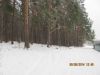 Участок в поселке Альпендорф(Дача художника)