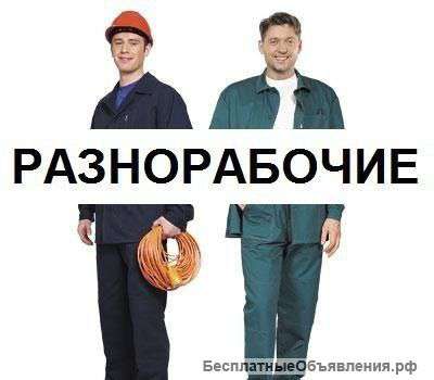 Разнорабочие
