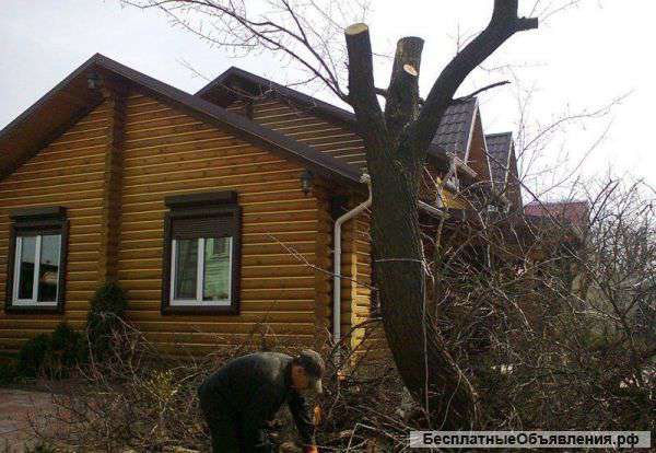 Спил деревьев