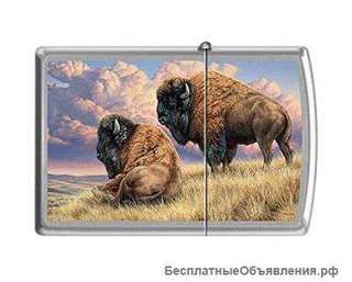 Зажигалка Zippo 200 Prairie Monarchs