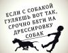 Дрессировка собак в Колпинском районе СПб.п.Металлострой,п.Понтонный, г.Колпино.