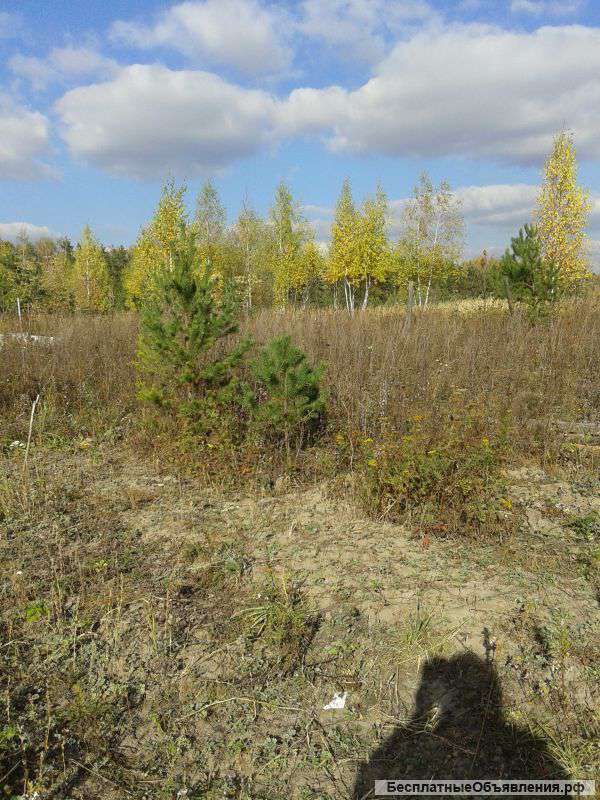 Участок 25 соток под ИЖС в МО Луховицкий р-н