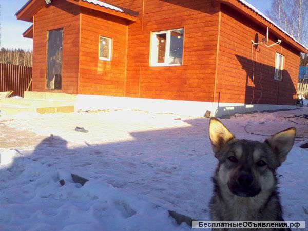 Коттедж благоустроенный