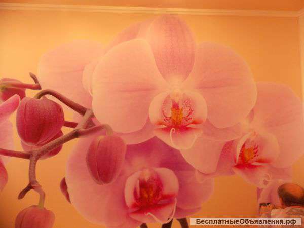 Качественая поклейка обоев в день обращения