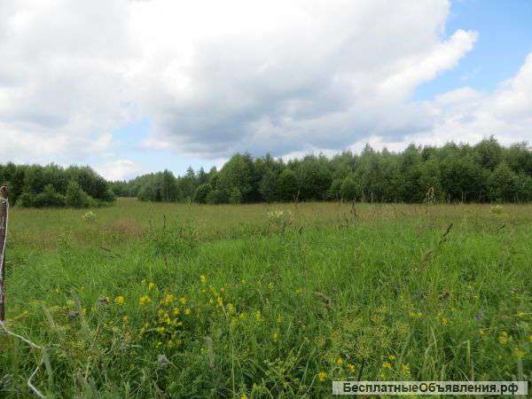 Земельный участок 47 соток