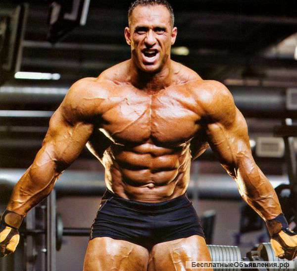 Все для роста мышц