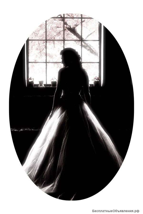 Профессиональный свадебный фотограф
