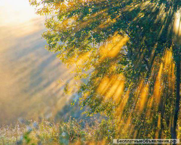 Участок 6.5 га (СНТ, ДНП)