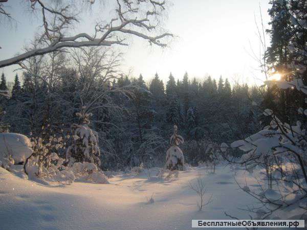 4000 Га. Земельный актив, Имущественный комплекс СПК (Бологовский р-н)