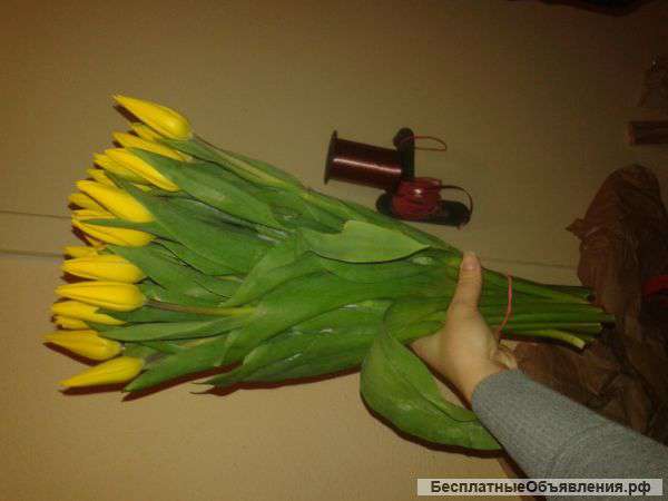 Тюльпаны по 20