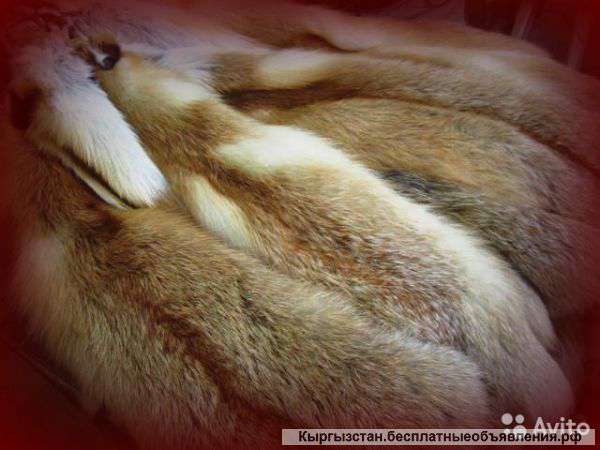 Обработка пушнины