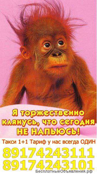 Такси 1+1 по г.Салават