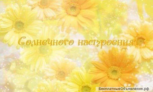 Детский центр "Солнечный город"