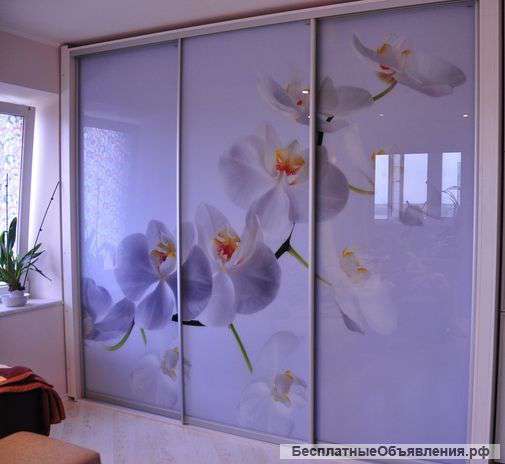 Шкаф-купе в стили Орхидея на заказ