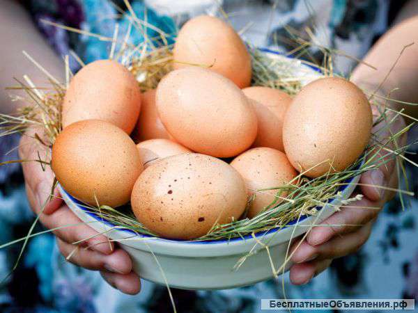 Домашние Яйца на пасху