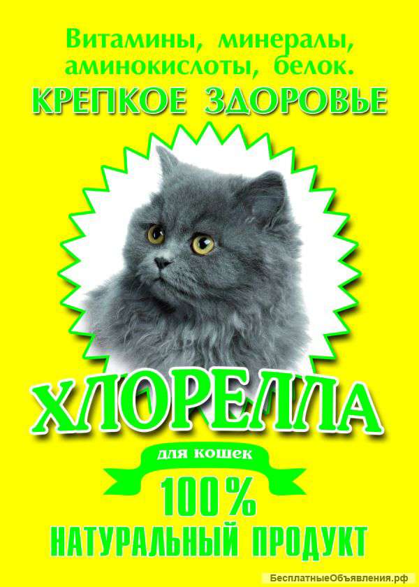Хлорелла
